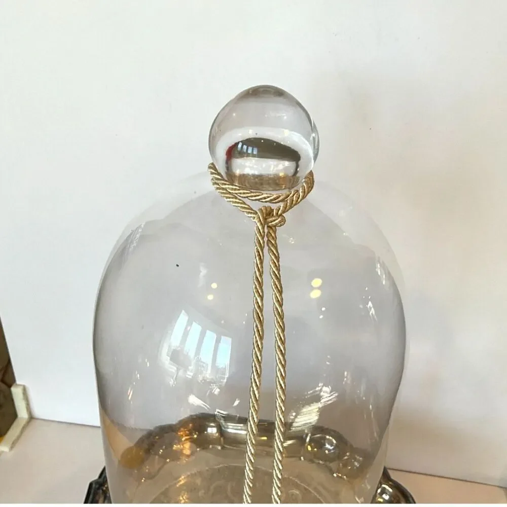 Stunning vintage glass bell jar glass cloche tall; must see